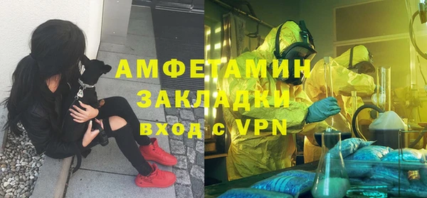прущие грибы Покачи