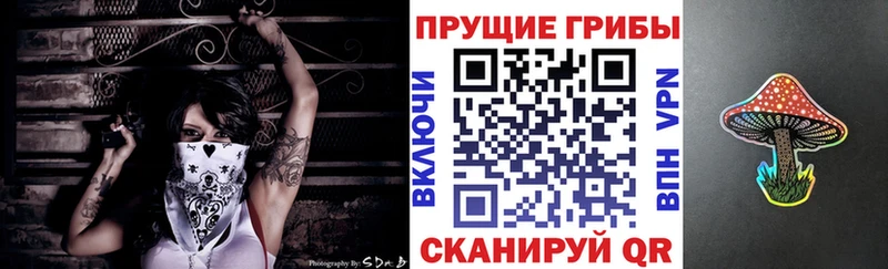 купить закладку  OMG ТОР  Галлюциногенные грибы MAGIC MUSHROOMS  Иннополис 